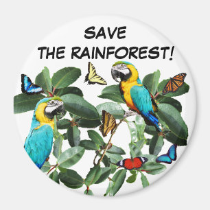 SAVE THE RAINFOREST    MAGNET