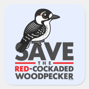 Save the Red-cockaded Woodpecker Square Sticker
