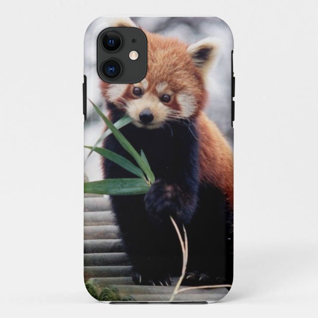 Save the Red Panda iPhone 5/5S Case (Back)