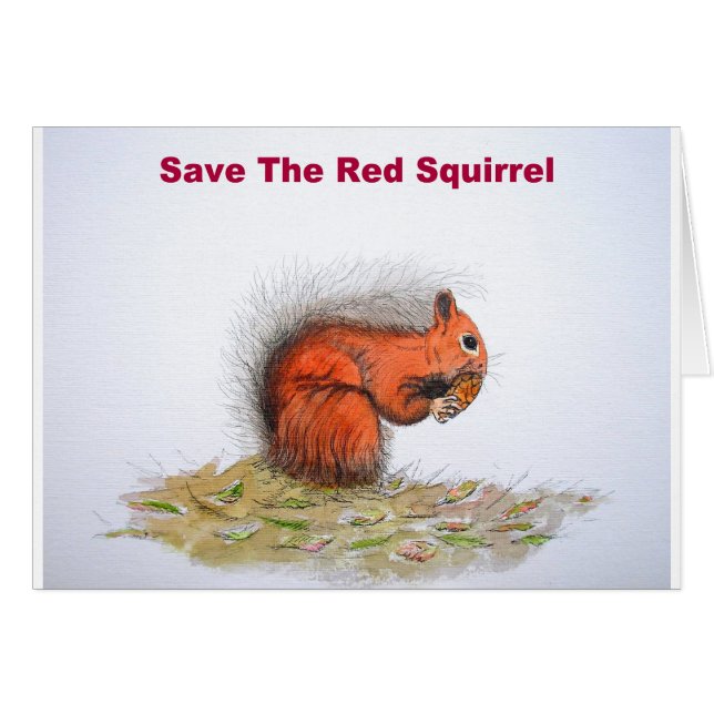 Save the red squirrel (Front Horizontal)