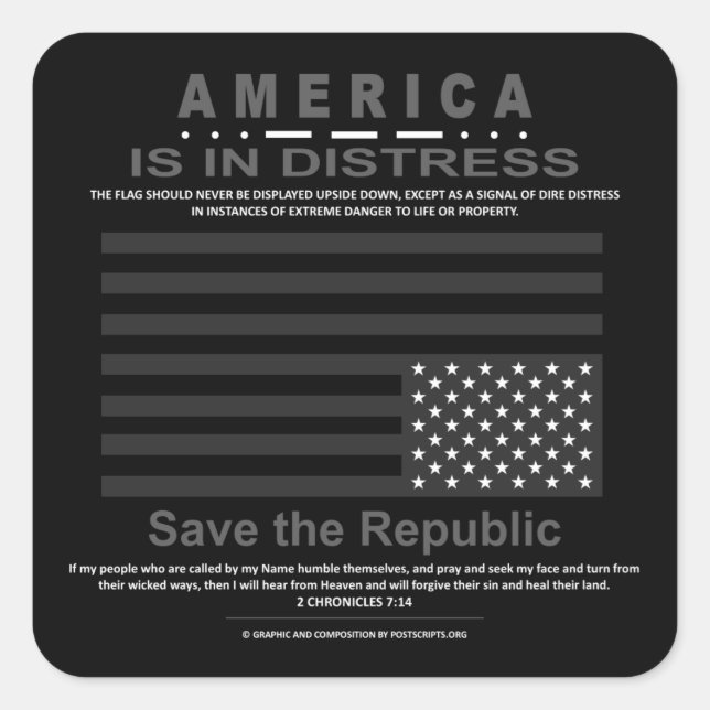 Save the Republic sticker (Front)