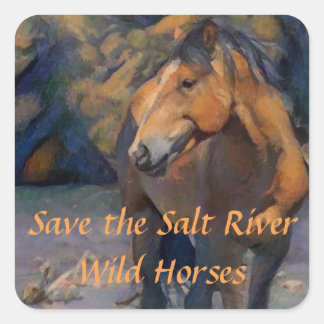 Save the Salt River Wild Horses Stickers