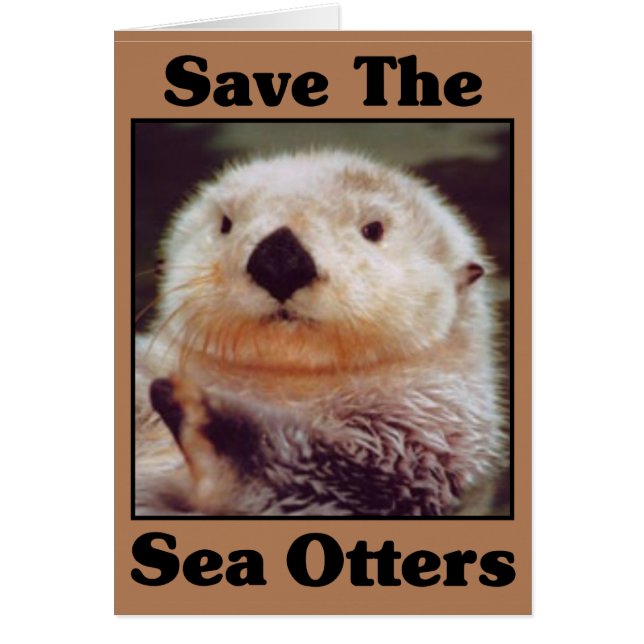 Save the Sea Otters (Front)