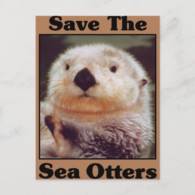 Save the Sea Otters Postcard (Front)