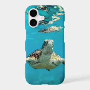 Save The Sea Turtles