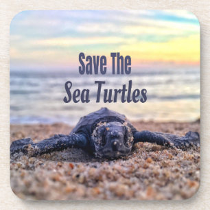 Save The Sea Turtles Coaster