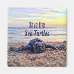 Save The Sea Turtles Magnet