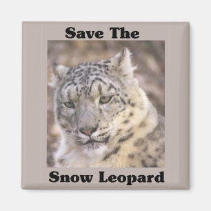 Save the Snow Leopard Magnet
