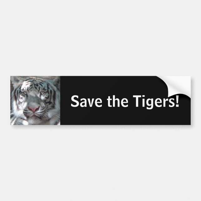 Save the Tigers Bumper Sticker (Front)
