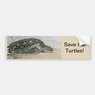 Save the Turtles! Hand drawn design Bumper Sticker