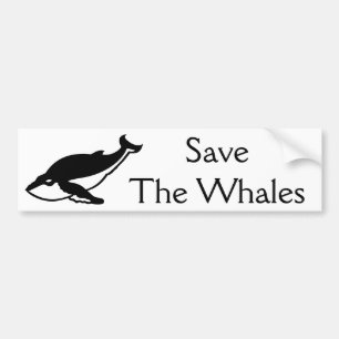 Save the Whales Bumper Sticker