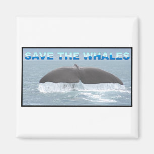 Save the Whales Magnet