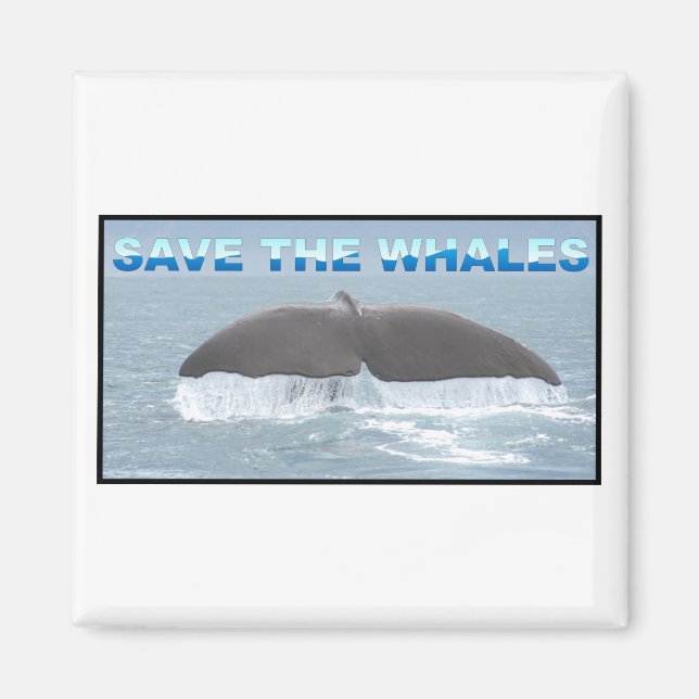 Save the Whales Magnet (Front)