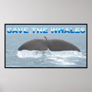 Save the Whales Poster