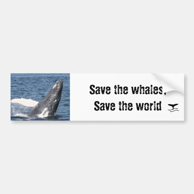 Save the whales, Save the world Bumper Sticker (Front)