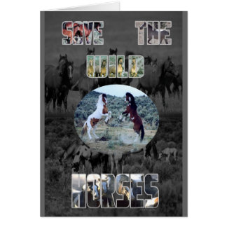 Save The Wild Horses