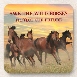 Save The Wild Horses Coaster