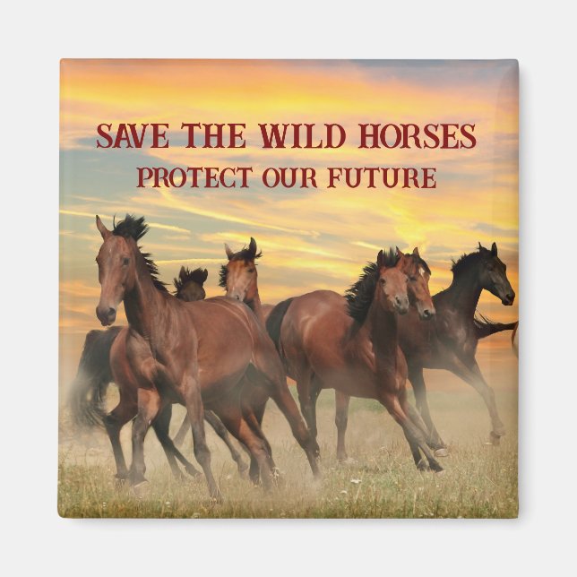 Save The Wild Horses Magnet (Front)