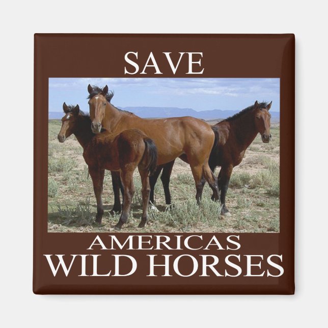 Save the Wild Horses Magnet (Front)