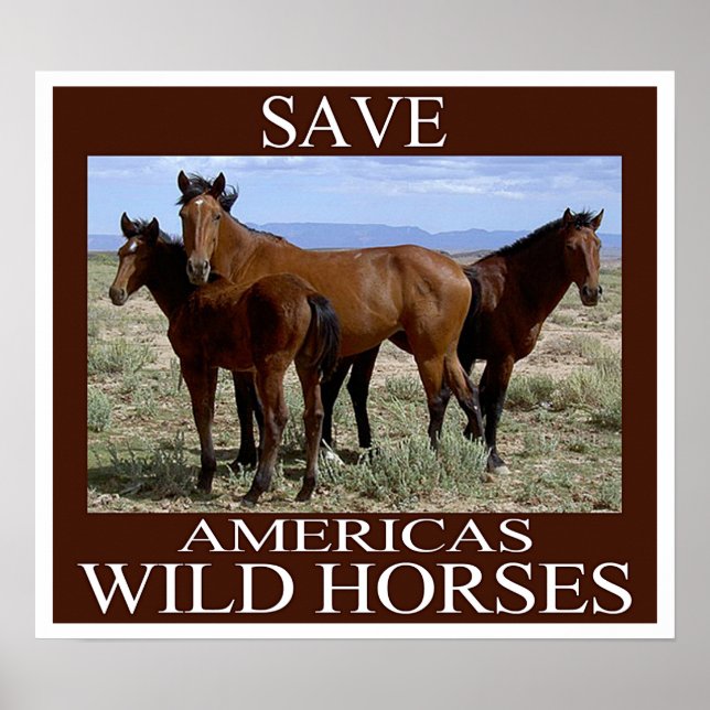 Save the Wild Horses Poster (Front)