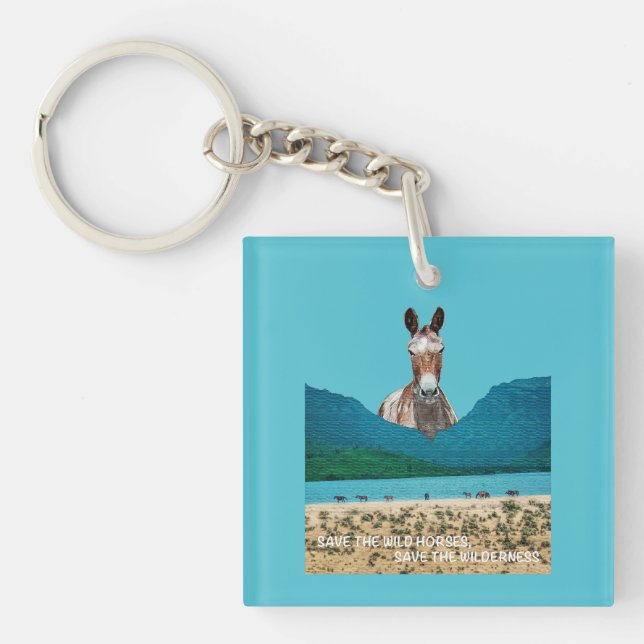 Save the Wild Horses, Save the Wilderness Key Ring (Front)