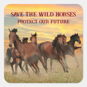 Save The Wild Horses Square Sticker