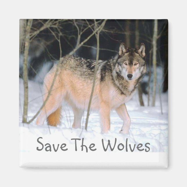 SAVE THE WOLVES MAGNET (Front)