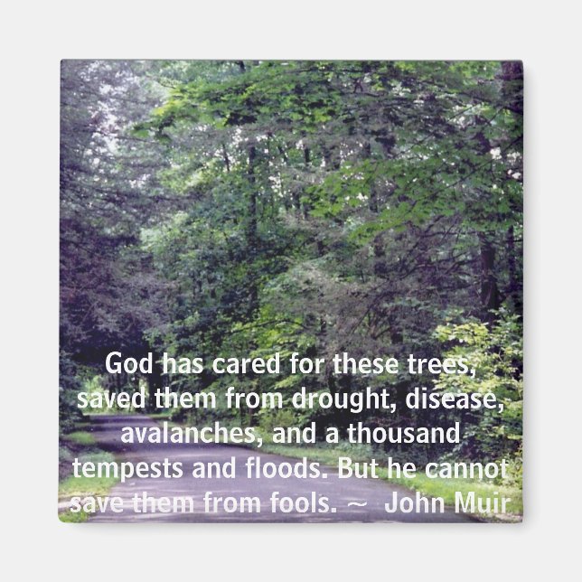 Save Us From Fools - magnet (Front)