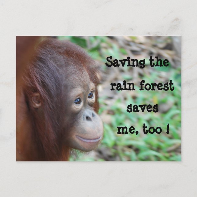 Save Wildlife and Rainforest postcard (Front)
