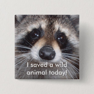 Saved a wild animal - racoon 15 cm square badge