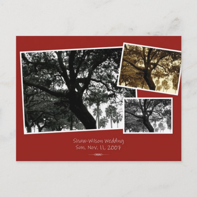 SaveTheDate Announcement Postcard (Front)