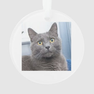 Saving Grace Christmas Ornament