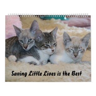 SAVING LITTLE LIVES IS THE BEST CALENDAR