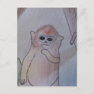 Saving Snub-Nosed Monkeys Postcard