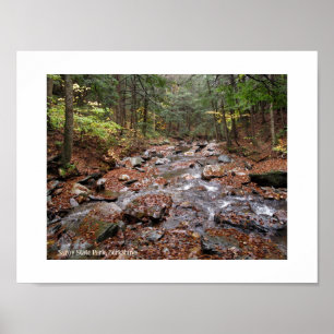 Savoy Mountain State Park Berkshires Poster