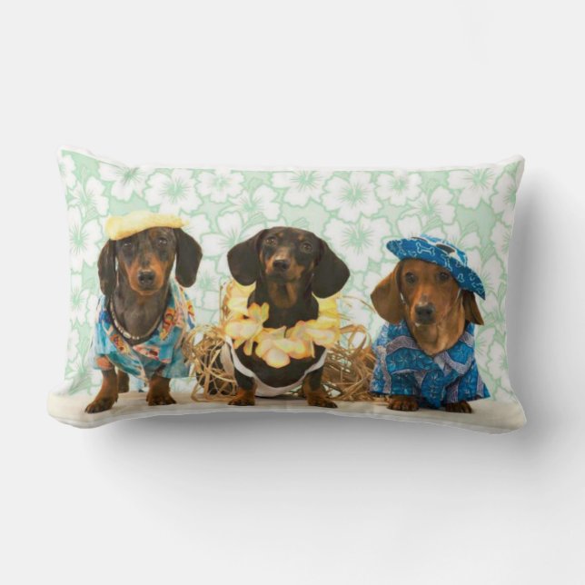Savvy Dachshunds Lumbar Cushion (Front)