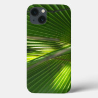 Saw Palmetto Photo Closeup