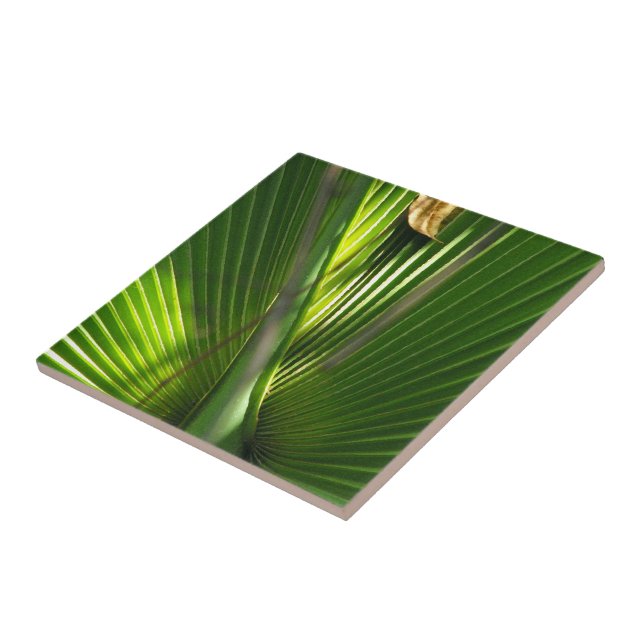 Saw Palmetto Photo Closeup Ceramic Tile (Side)