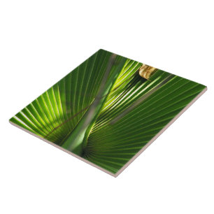 Saw Palmetto Photo Closeup Tile