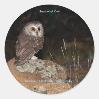 Saw-whet Owl Classic Round Sticker