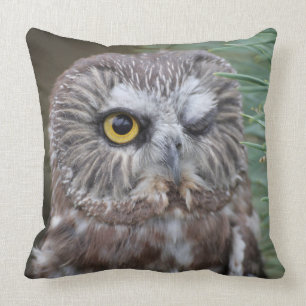 Saw-whet Owl Cushion