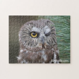 Saw-whet Owl Jigsaw Puzzle