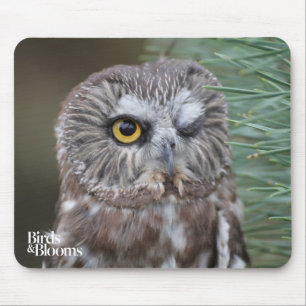 Saw-whet Owl Mouse Pad