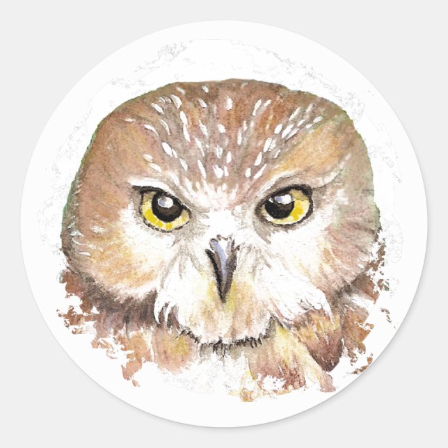 Saw Whet Owl Sticker (Front)