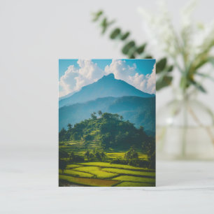 Sawah di Kaki Gunung Postcard