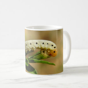 Sawfly Larvae Bug Mug