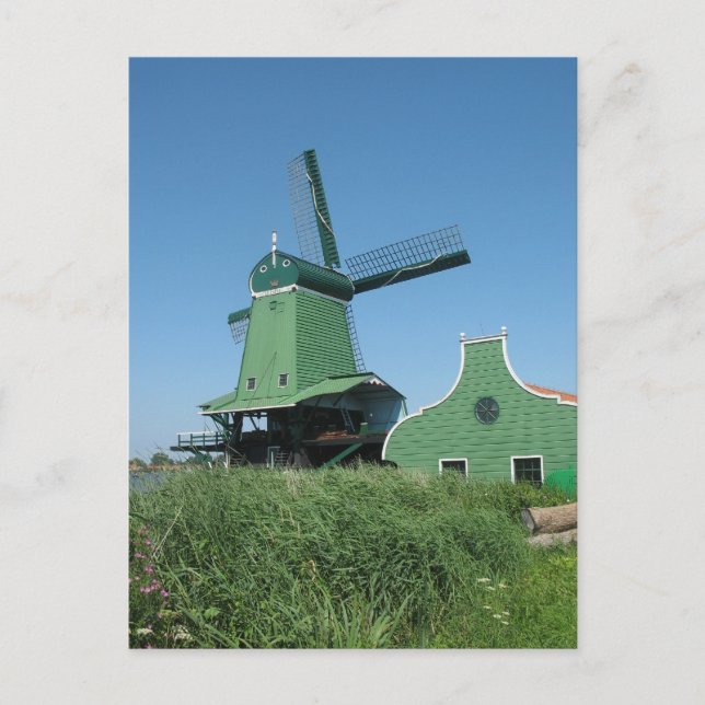 Sawmill in Holland Postcard (Front)