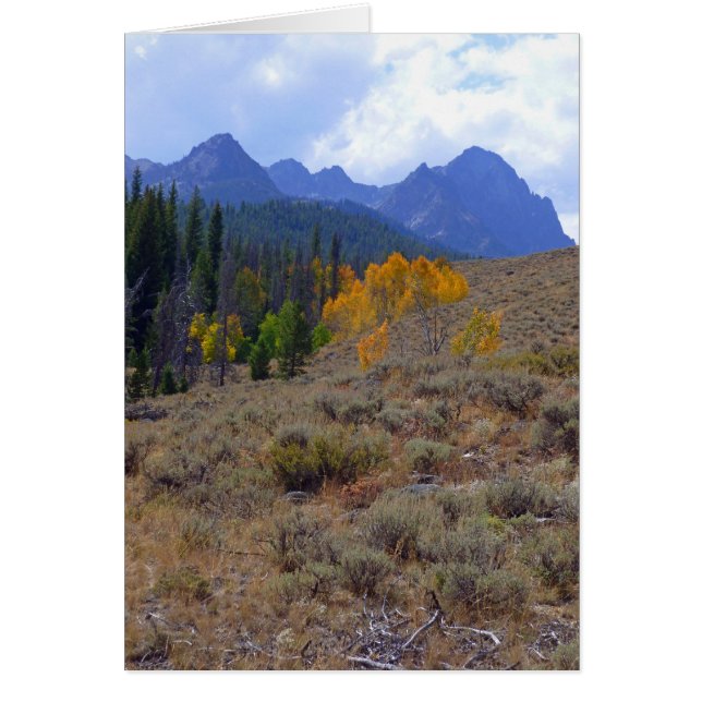 Sawtooth Mountains (Front)