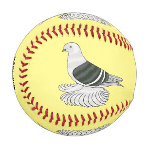 Saxon Shield pigeon bird cartoon illustration Baseball