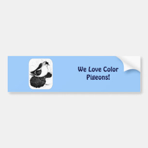 Saxon Swallow Pigeon 1978 Bumper Sticker